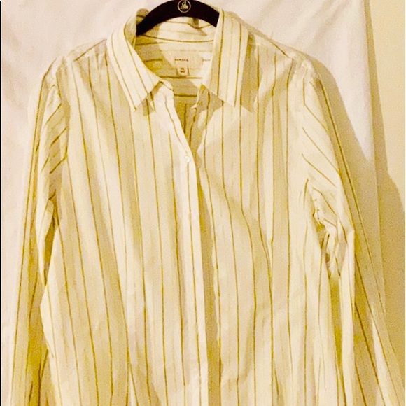 Meet your Posher, Nola - Picture 4 of 8